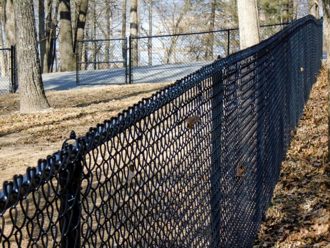 Chain link fence